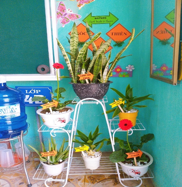 TRANG TRÍ LỚP HỌC THÂN THIỆN, TẠO MÔI TRƯỜNG HỌC TẬP XANH CHO HỌC SINH  – TRƯỜNG TIỂU HỌC TIÊN SƠN