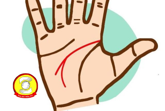 Đường trí đạo rẽ nhánh có ý nghĩa gì?