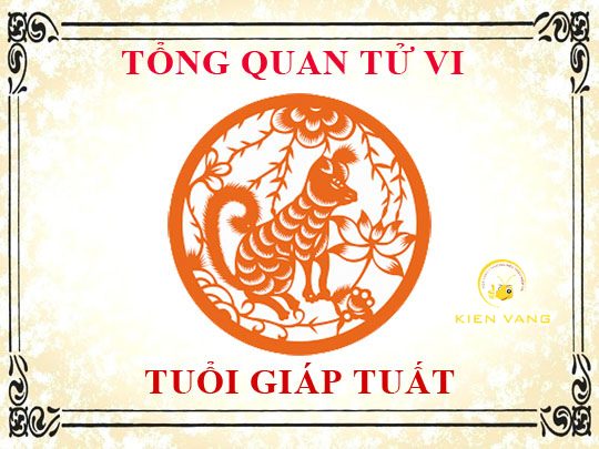 29 Tuổi Là Tuổi Con Gì? Review Tuổi Giáp tuất Năm Nhâm Dần