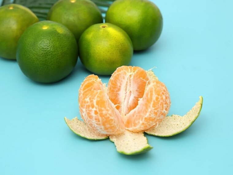 Top 5 loại quýt ngon được trồng ở Việt Nam