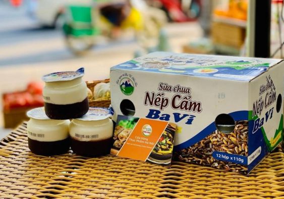 Sữa chua Ba Vì bao nhiêu calo và ăn có béo không?