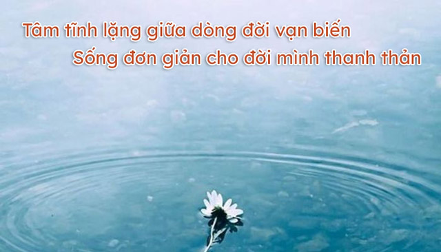 Tâm tĩnh lặng giữa dòng đời vạn biến, sống đơn giản cho đời mình thanh thản