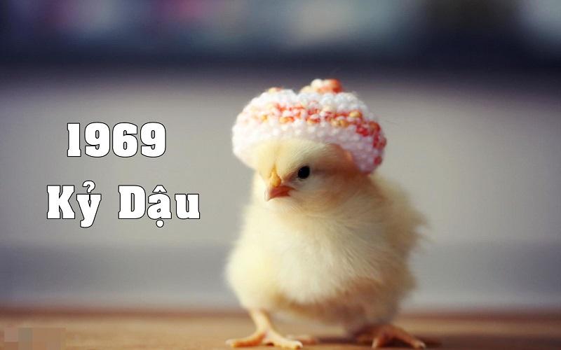 Sinh năm 1969 hợp màu xe gì để mang lại bình an và thịnh vượng?