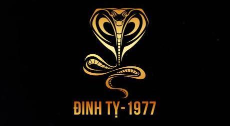 Tuổi Đinh Tỵ sinh năm 1977  hợp với xe màu gì?
