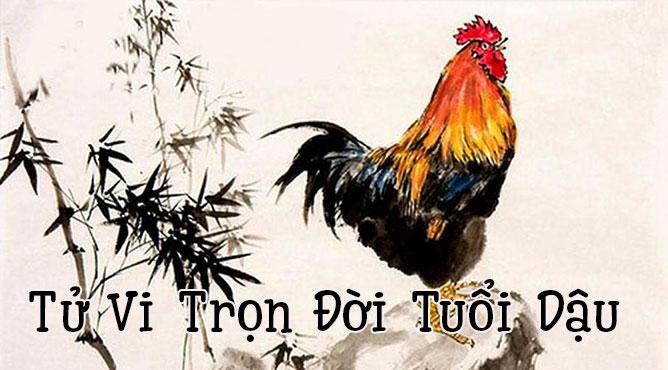 Sinh năm 2005 Ất Dậu vào năm nay học lớp mấy? Bảng tổng hợp năm học theo lớp của người sinh năm 2005