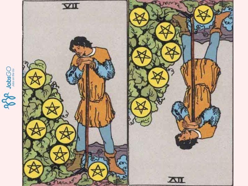 Seven of Pentacles cho thấy một chàng trai trẻ đang nghỉ ngơi ngắm nhìn thành quả của mình sau một thời gian dài cố gắng.