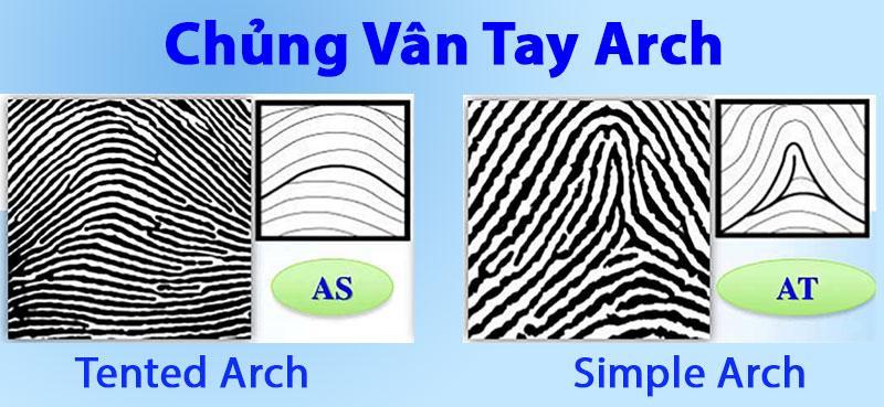 [Bật mí] TOP 5 các chủng vân tay hiếm gặp nhất trên thế giới