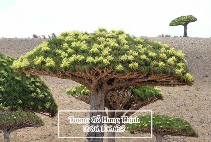 Đeo vòng Huyết Rồng kiêng gì? TRÁNH XUI XẺO? Cách đeo chuẩn 100%
