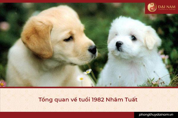 Hướng dẫn cách hóa giải hướng nhà không hợp tuổi 1982
