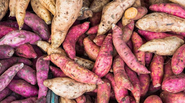 Tổng hợp 3 cách nấu chè khoai lang dẻo dẻo, thanh mát, thơm ngon