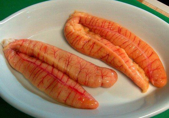 Trứng cá ngừ đại dương nấu món gì