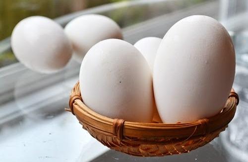Thành phần trong trứng ngỗng