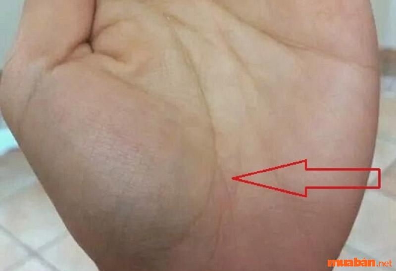 Đường sinh mệnh có 3 nhanh chứng tỏ sức khỏe của bạn cực tốt