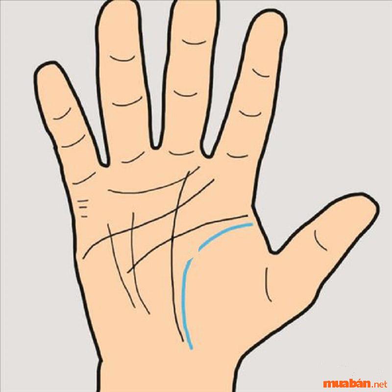 Đường sinh mệnh bị đứt khúc tức bạn sẽ gặp việc bất trắc