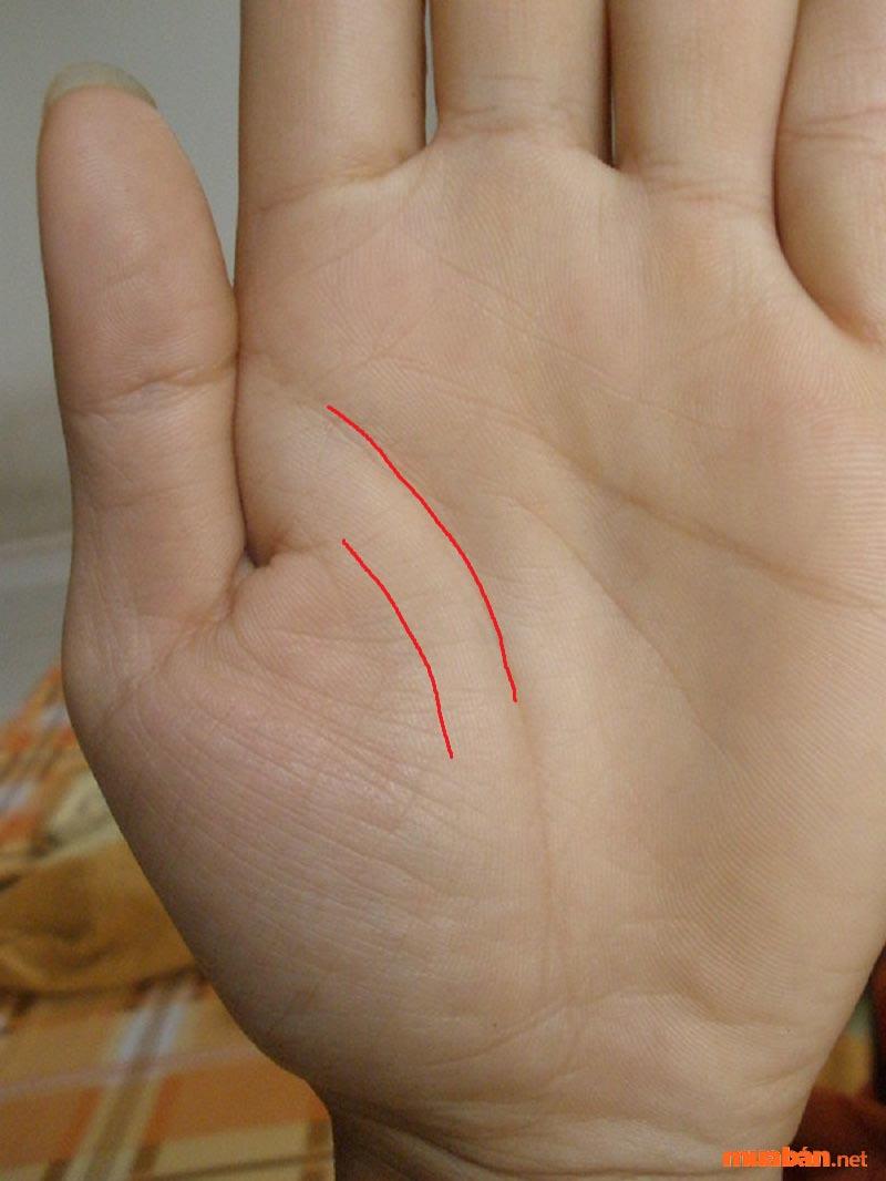 Đường sinh đạo ngắn tức thọ mệnh không dài