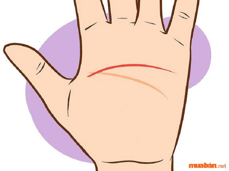 Không có đường sinh mệnh cần phải có thầy xem mới ra