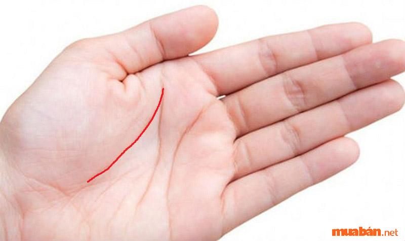 Đường sinh mệnh không nhánh rất dễ xem bói