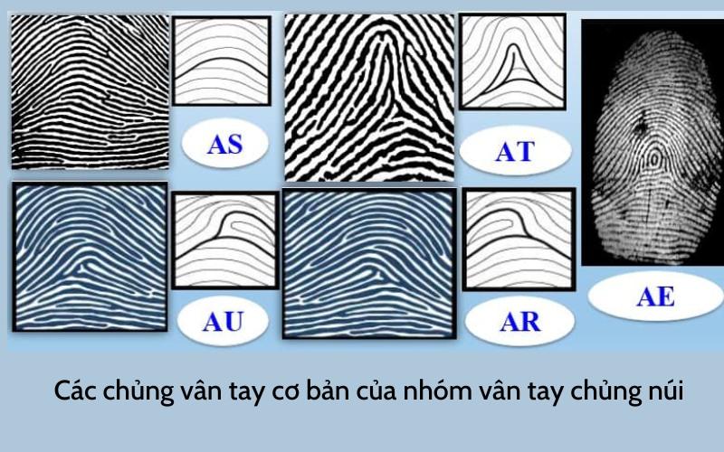 chung van tay nui ar 2