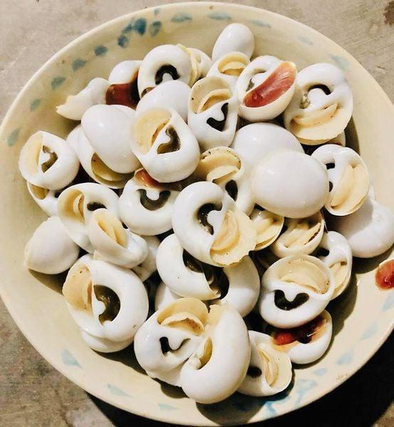 ốc bạch ngọc
