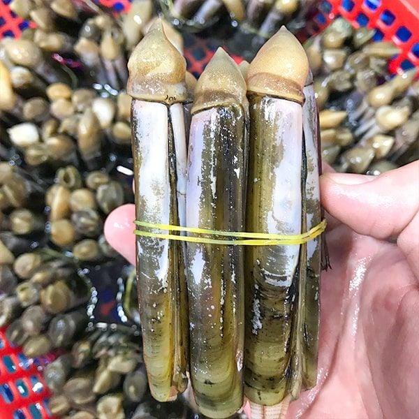 ốc móng tay