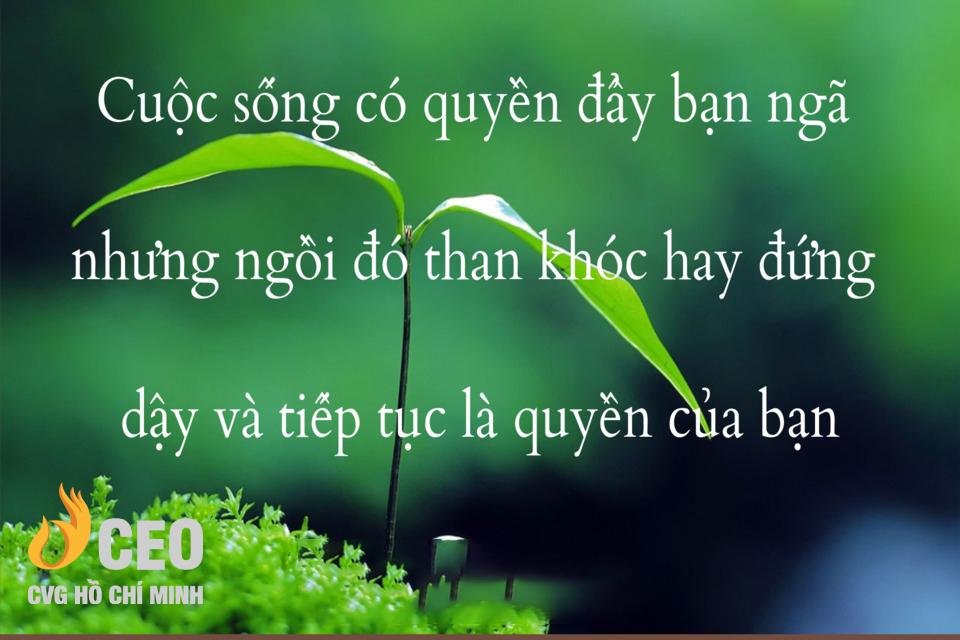 hình ảnh đẹp ý nghĩa về cuộc sống