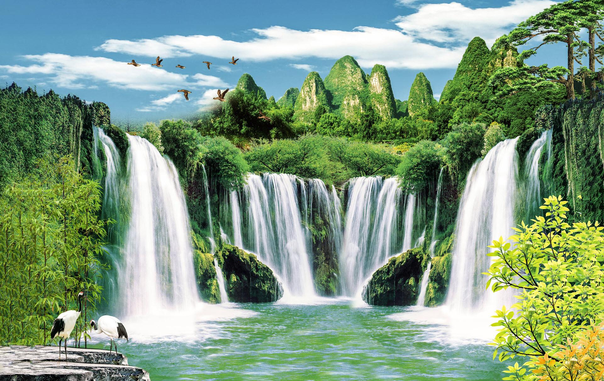 Hình nền phong thủy mệnh Mộc