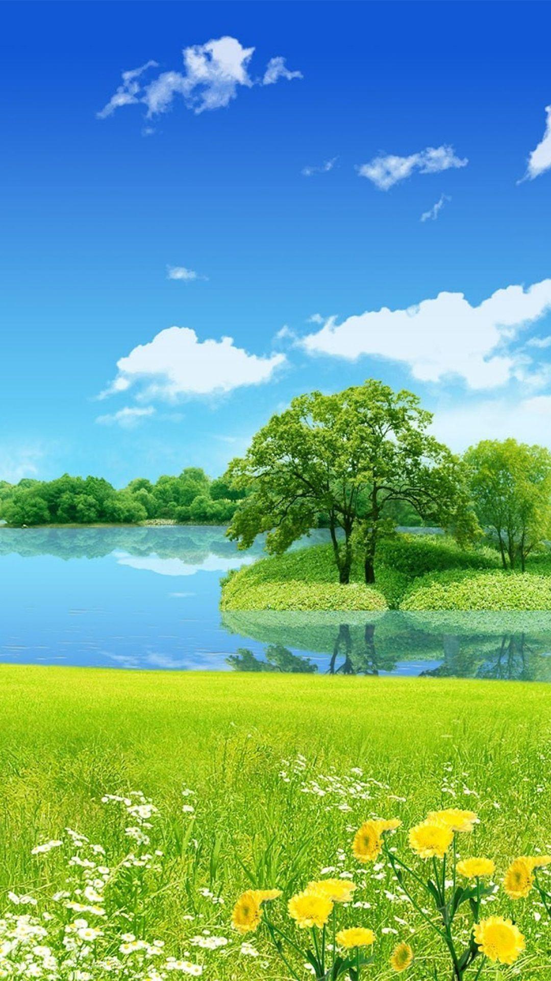 Bộ sưu tập hình nền phong thủy cho người mệnh Mộc