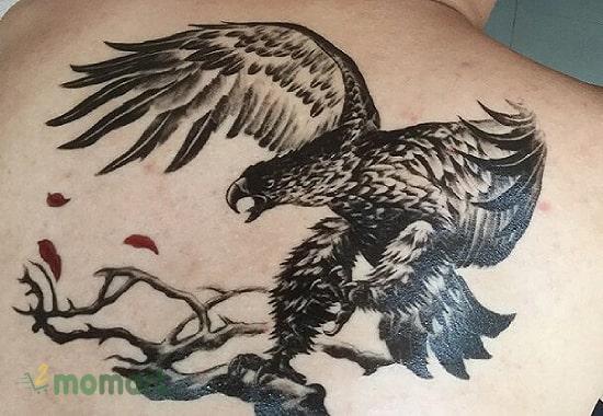Ý nghĩa hình xăm đại bàng tung cánh cho nam nữ