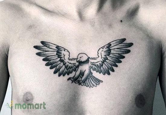 Tattoo đại bàng mini ở ngực nam