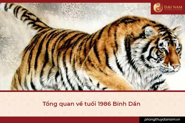 Cách hóa giải hướng nhà không hợp tuổi 1986 gia chủ cần biết
