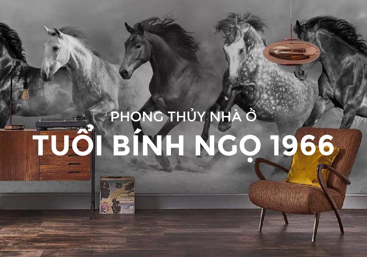 Tuổi Bính Ngọ 1966 hợp hướng nào làm ăn phát tài, thuận buồm xuôi gió