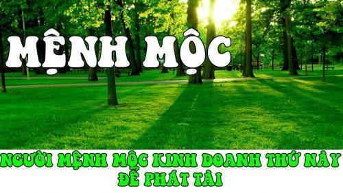 Mạng thạch lựu mộc hợp với nghề gì