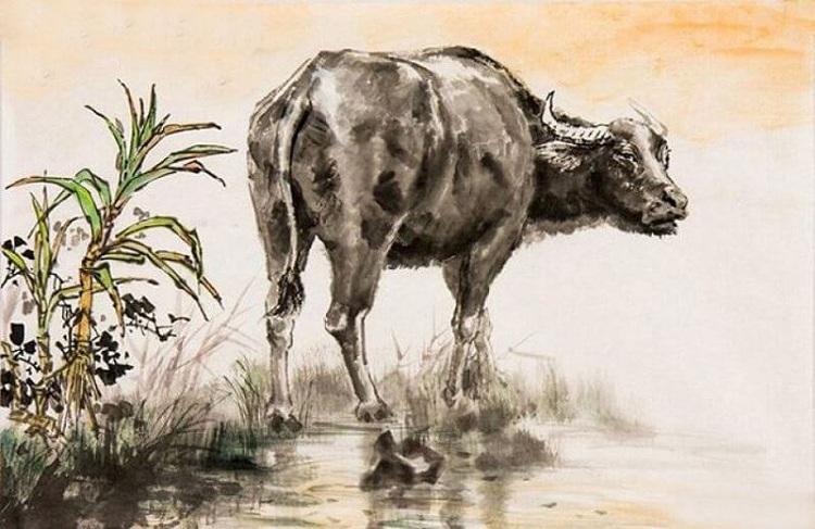 tuổi 1985 Ất Sửu sơn nhà màu gì