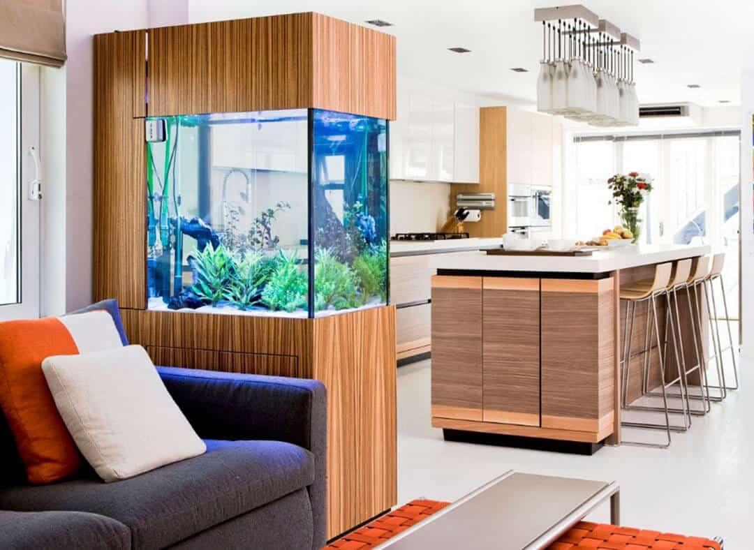 Đặt bể cá trong nhà để giảm bớt yếu tố lửa