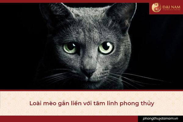 Lý Giải Điềm Báo Phong Thủy: Mèo Nhảy Lên Bàn Thờ Có Sao Không