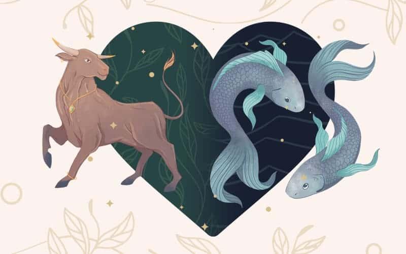 Giải đáp thắc mắc: Song Ngư và Kim Ngưu có hợp nhau hay không? Yêu nhau có lâu dài không?