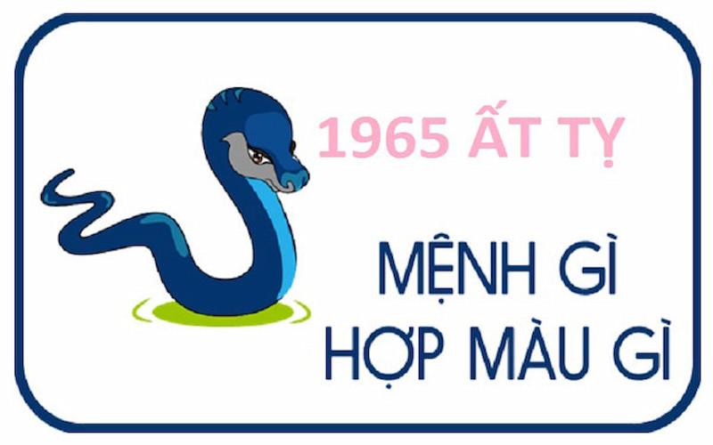 1965 mệnh gì