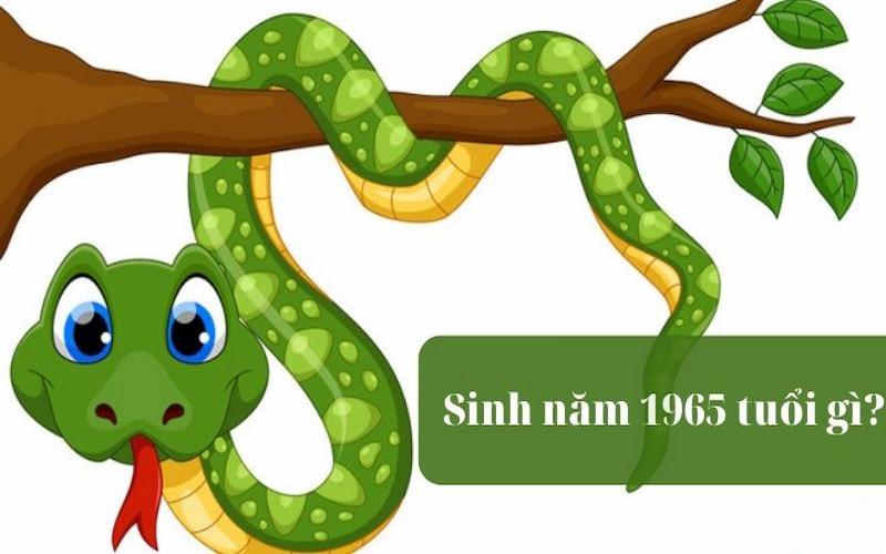 1965 mệnh gì
