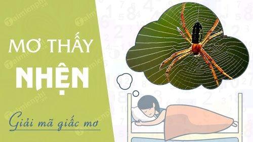 Chiêm bao về những hình ảnh của nhện, từ nhện cắn, nhện trắng, vàng đến những con khổng lồ.