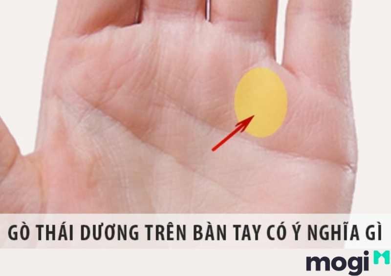 Gò Thái Dương Là Gì? Ý Nghĩa & Cách Xem Chuẩn Xác Theo Tử Vi