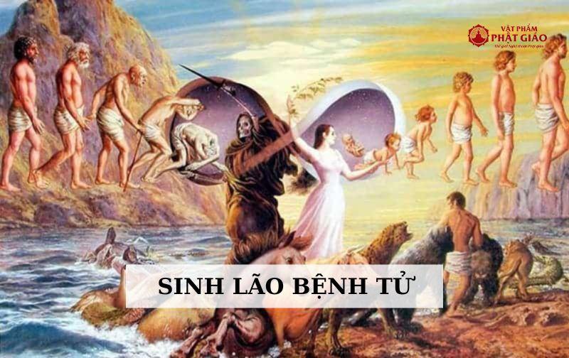Sinh lão bệnh tử – Quy luật vô thường của đời người