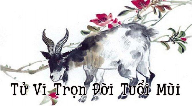Sinh năm 2003 Quý Mùi năm 2024 bao nhiêu tuổi? Các thông tin người sinh năm Quý Mùi