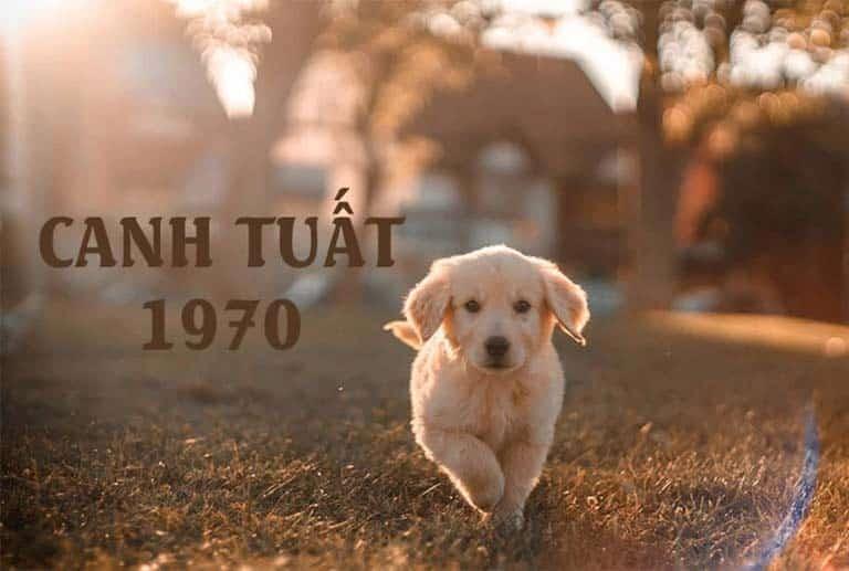 Khánh vàng Đức Phát