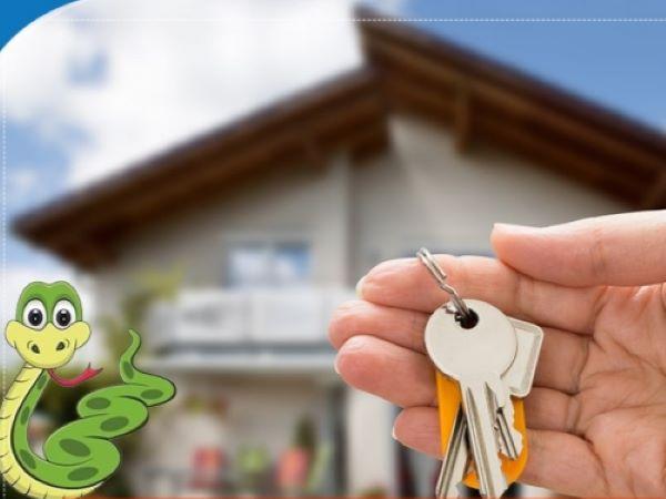 Tuổi Đinh Tỵ làm nhà năm 2024 có được không?