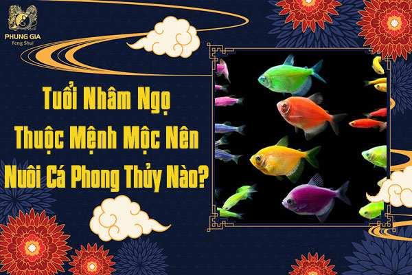 Tuổi Nhâm Ngọ Nuôi Cá Mệnh Gì