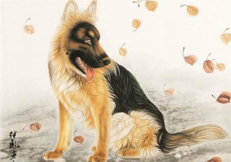 tuổi Nhâm Tuất 1982 sơn nhà màu gì