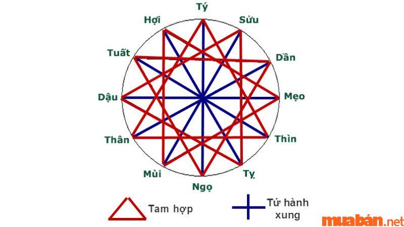 Tý - Ngọ - Mão - Dậu tứ hành xung