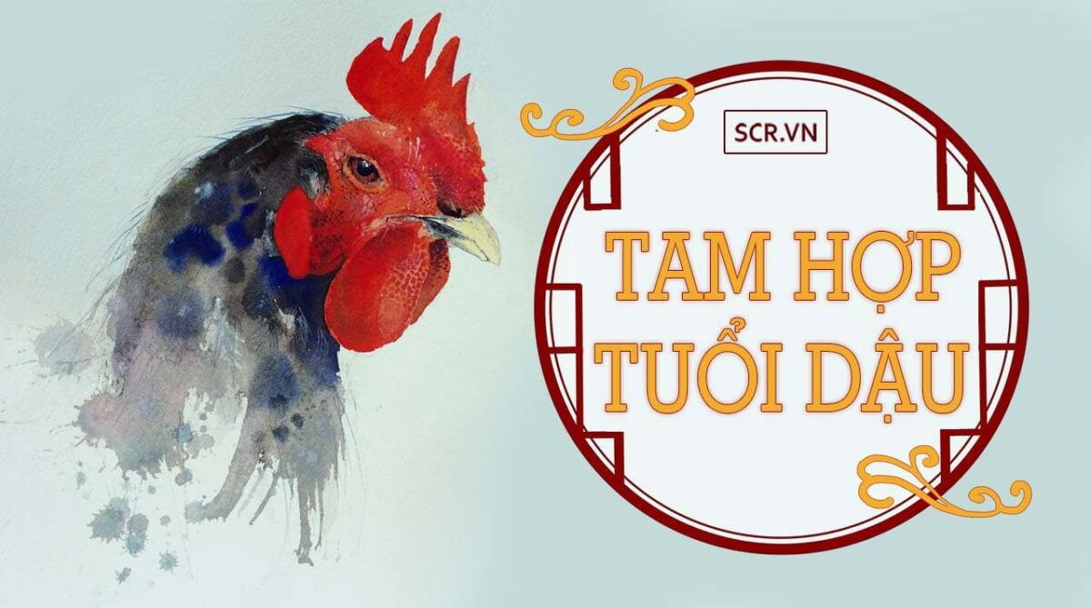 Tuổi Dậu Khai Trương Ngày Nào Tốt ❤️️Chọn Tuổi Mở Hàng