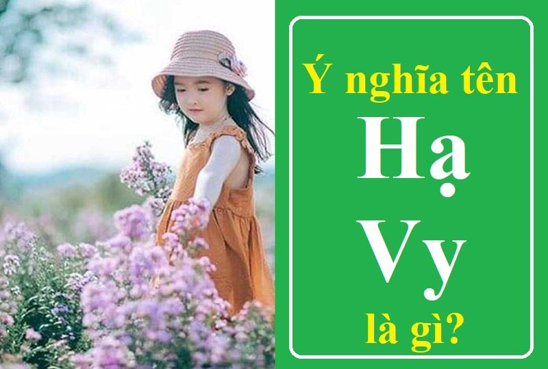 Tên Hạ Vy có ý nghĩa gì, tốt hay xấu?